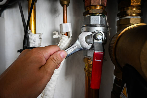 Best Local Plumber Services  in , OH